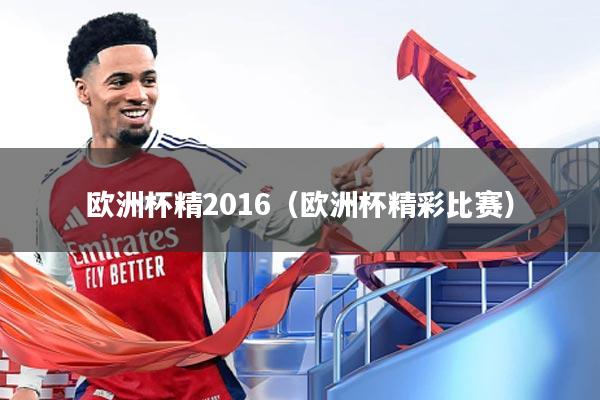 欧洲杯精2016(欧洲杯精彩比赛)
