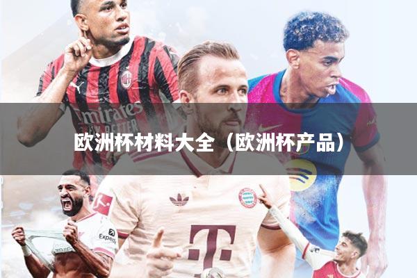 欧洲杯材料大全(欧洲杯产品)